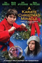 دانلود فیلم A Karate Christmas Miracle 2019