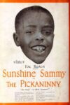دانلود فیلم The Pickaninny 1921